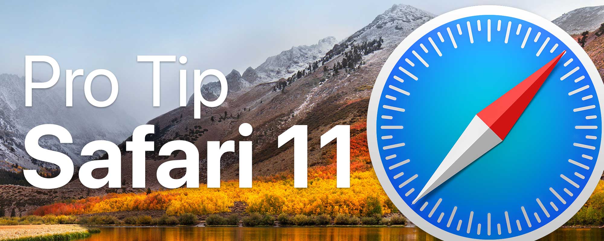 Safari Pro Tip Featured Image
